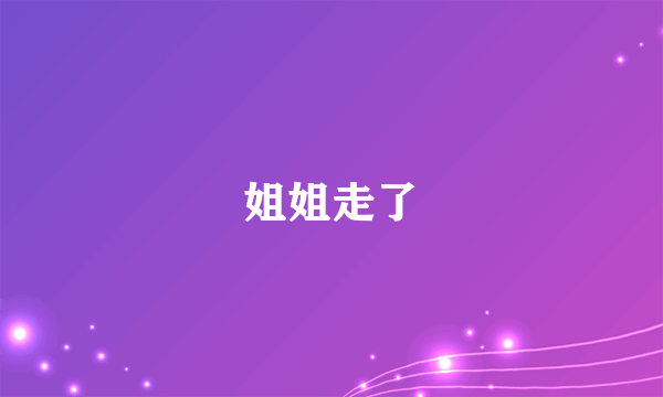 姐姐走了