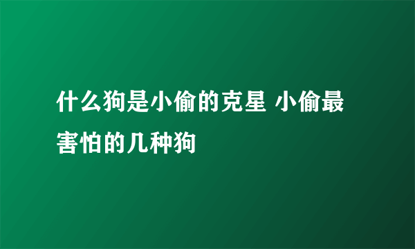 什么狗是小偷的克星 小偷最害怕的几种狗
