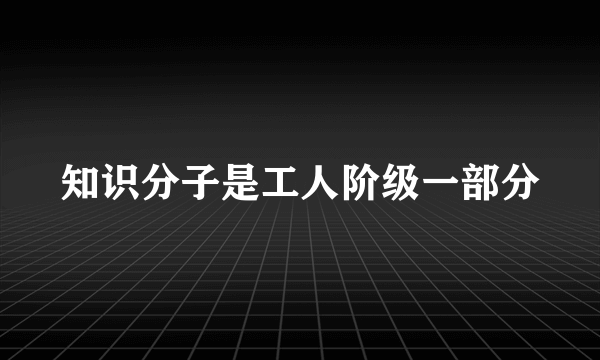 知识分子是工人阶级一部分