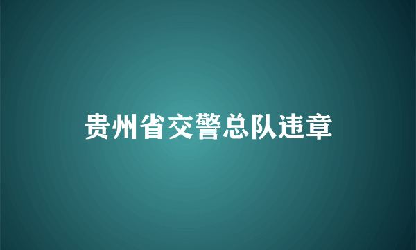 贵州省交警总队违章