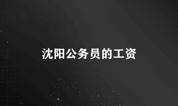 沈阳公务员的工资