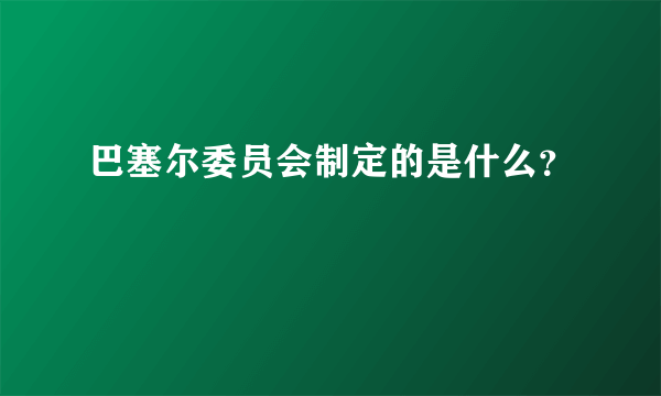 巴塞尔委员会制定的是什么？