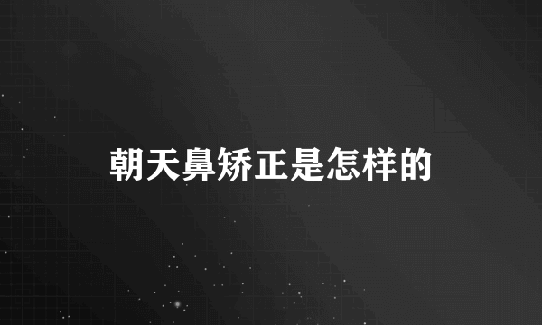朝天鼻矫正是怎样的
