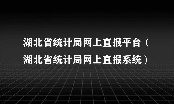 湖北省统计局网上直报平台（湖北省统计局网上直报系统）