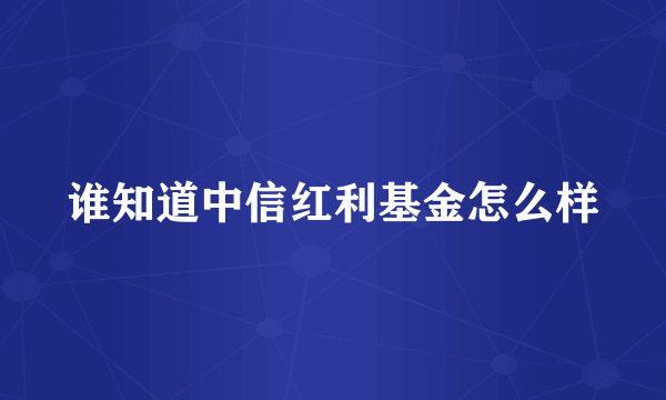 谁知道中信红利基金怎么样