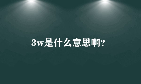 3w是什么意思啊？