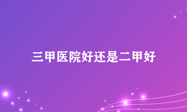 三甲医院好还是二甲好