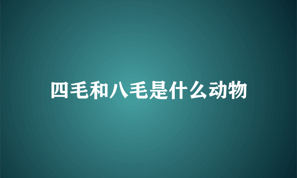 四毛和八毛是什么动物
