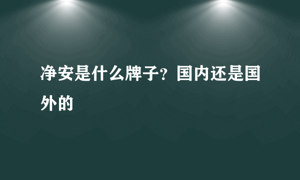 净安是什么牌子？国内还是国外的