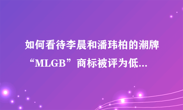 如何看待李晨和潘玮柏的潮牌“MLGB”商标被评为低俗被宣告无效一事？