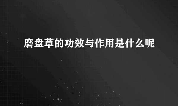 磨盘草的功效与作用是什么呢