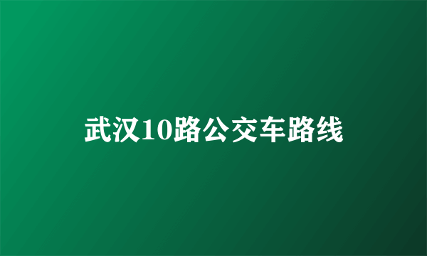 武汉10路公交车路线