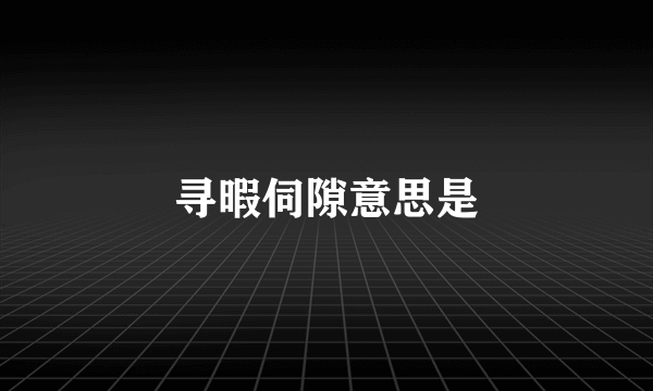 寻暇伺隙意思是