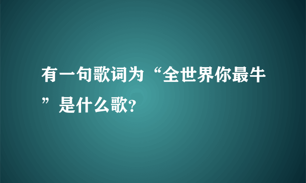 有一句歌词为“全世界你最牛”是什么歌？