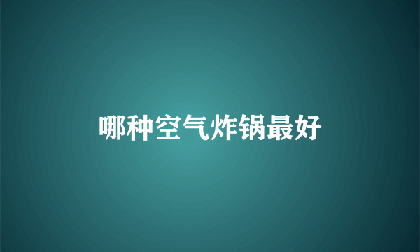 哪种空气炸锅最好
