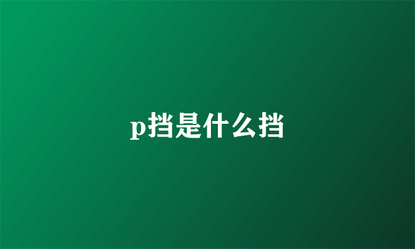 p挡是什么挡