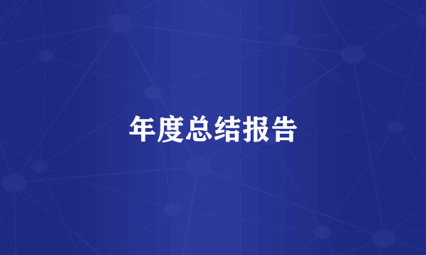 年度总结报告