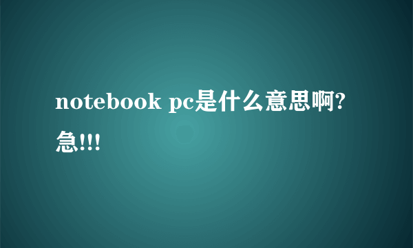 notebook pc是什么意思啊?急!!!