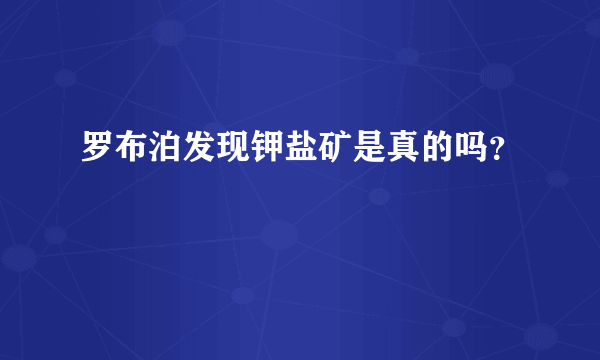 罗布泊发现钾盐矿是真的吗？