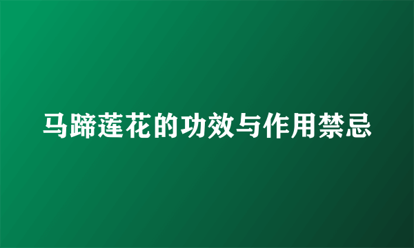 马蹄莲花的功效与作用禁忌