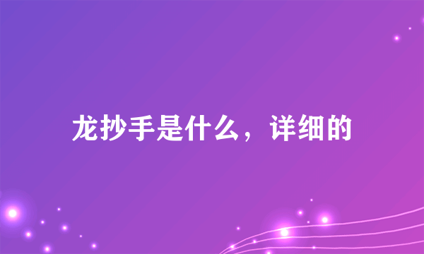 龙抄手是什么，详细的