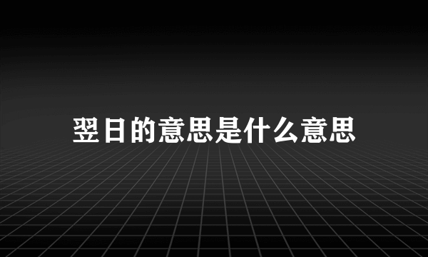 翌日的意思是什么意思