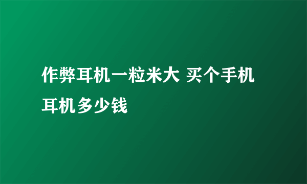 作弊耳机一粒米大 买个手机耳机多少钱