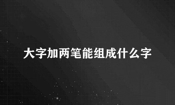 大字加两笔能组成什么字