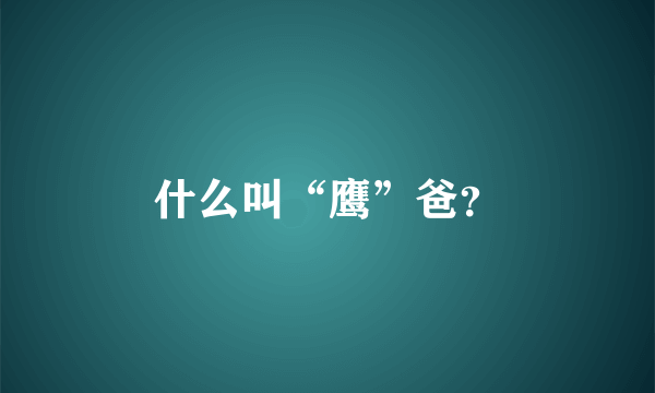 什么叫“鹰”爸？