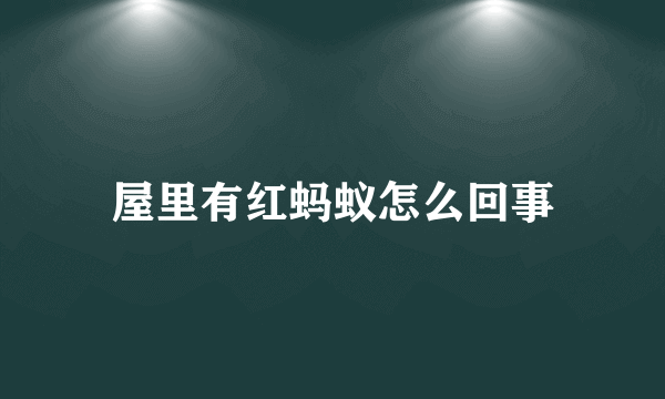 屋里有红蚂蚁怎么回事