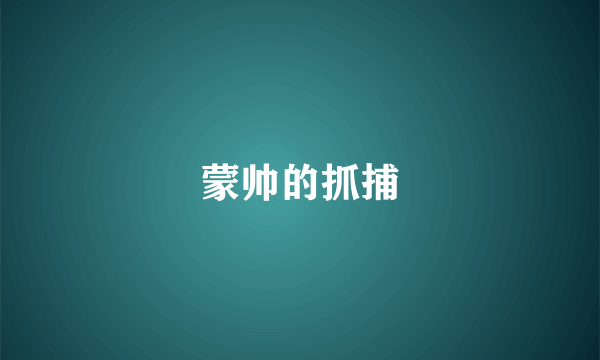 蒙帅的抓捕