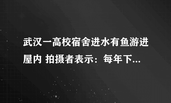 武汉一高校宿舍进水有鱼游进屋内 拍摄者表示：每年下大雨湖水上涨都会这样