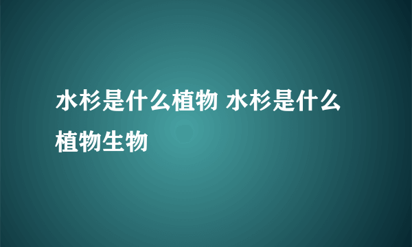 水杉是什么植物 水杉是什么植物生物