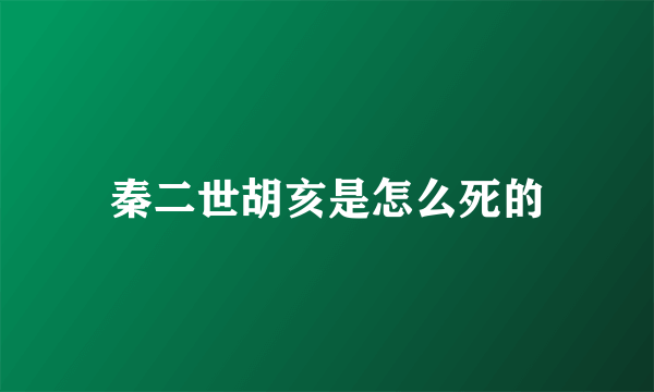 秦二世胡亥是怎么死的