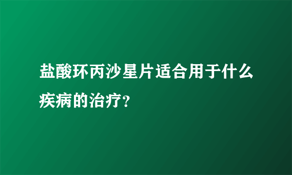 盐酸环丙沙星片适合用于什么疾病的治疗？