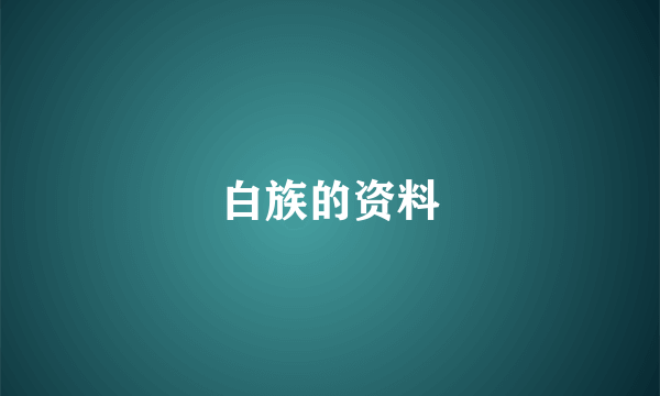 白族的资料