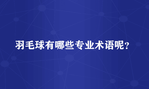 羽毛球有哪些专业术语呢？