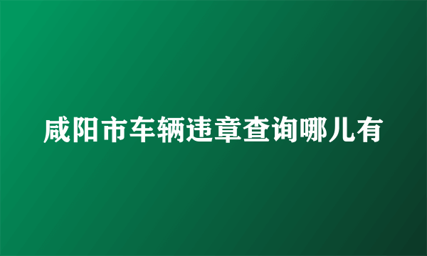 咸阳市车辆违章查询哪儿有