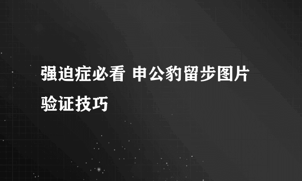 强迫症必看 申公豹留步图片验证技巧