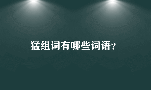 猛组词有哪些词语？
