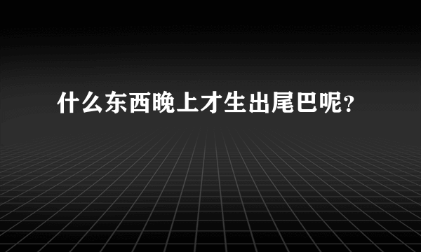 什么东西晚上才生出尾巴呢？