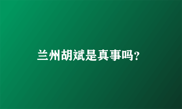 兰州胡斌是真事吗？