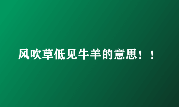 风吹草低见牛羊的意思！！