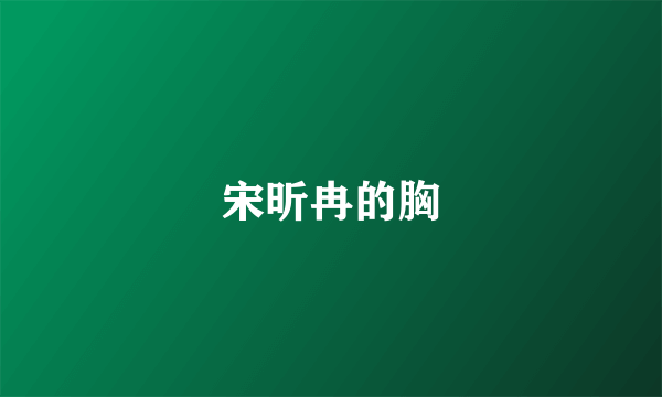 宋昕冉的胸