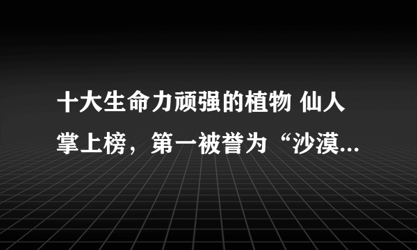十大生命力顽强的植物 仙人掌上榜，第一被誉为“沙漠守护神”