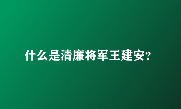 什么是清廉将军王建安？