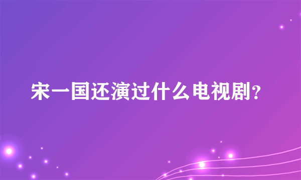 宋一国还演过什么电视剧？