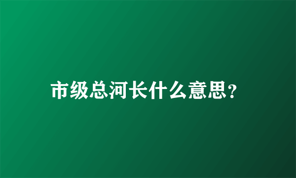 市级总河长什么意思？