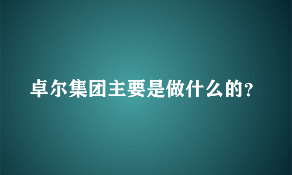 卓尔集团主要是做什么的？