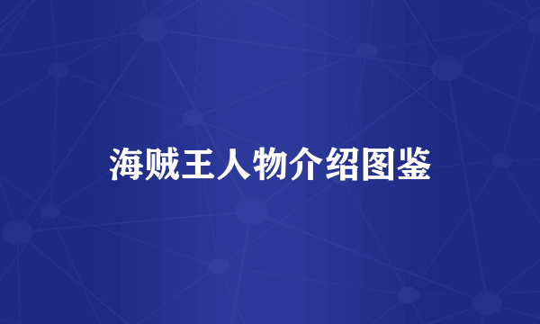 海贼王人物介绍图鉴